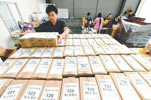 雙十一碭山縣 互聯網助力水果銷售，助農增收熱火朝天